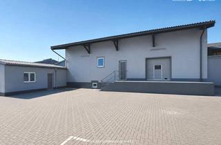 Büro zu mieten in 2201 Gerasdorf, Lagerhalle mit Büro im Wiener Norden