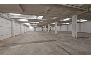 Büro zu mieten in 3500 Krems an der Donau, Top-Betriebsstandort mit 985 m² Hallenfläche & 3 LKW-Rampen