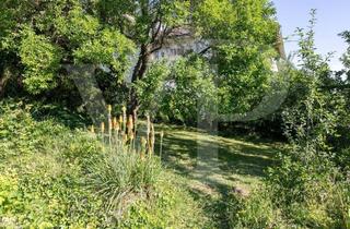 Grundstück zu kaufen in 2344 Maria Enzersdorf, RARITÄT AM WALDRAND – 1.050 m² GRUNDSTÜCK IN BESTLAGE VON MARIA ENZERSDORF