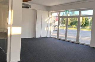 Büro zu mieten in Salzburger Straße 82, 5303 Thalgau, Großraumbüro/Geschäftsfläche