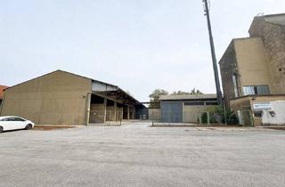 Gewerbeimmobilie kaufen in 7123 Mönchhof, Großer Gewerbegrund mit Lagerhallen, Silos und vielseitigem Potenzial in Mönchhof