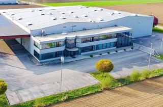 Lager kaufen in 3382 Loosdorf, Gewerbeobjekt in Loosdorf zu Kaufen: 4.773 m² Gesamtnutzfläche auf 9.580 m² Grundstück