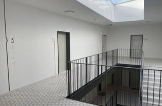 Büro zu mieten in 2340 Mödling, Juwel im Grünen - Moderne Büroflächen Nahe Htl Mödling zu Mieten - Erstbezug