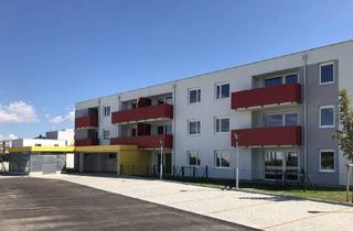 Wohnung mieten in Johannesgasse, 3133 Traismauer, JUNGES WOHNEN: westseitige Starterwohnung mit Balkon