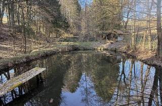 Gewerbeimmobilie kaufen in 8341 Paldau, Naturparadies: großzügiges Anwesen in sonniger Ruhelage nahe Paldau!