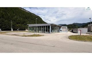 Büro zu mieten in 3345 Göstling an der Ybbs, Betriebsobjekt in Göstling sofort zu verpachten (ehm. Autohaus)