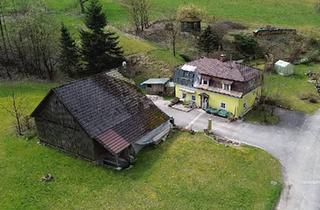 Haus kaufen in 3691 Nöchling, HandwerkerIn gesucht im kleinen Yspertal: liebenswertes Haus unweit von Nöchling