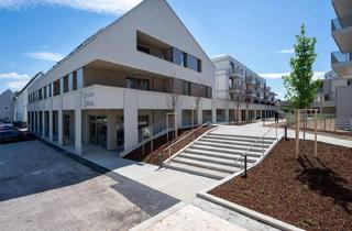 Gewerbeimmobilie mieten in Florianipark, 3441 Judenau, JUDENAU I/1, Geschäftsräumlichkeit, Gewerbe Top 1_01, 1200/00046551/00002101