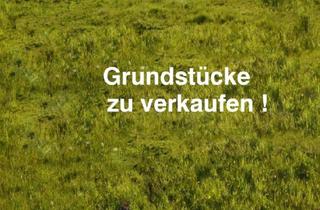 Grundstück zu kaufen in 6391 Fieberbrunn, Grundstücke in Traumlage