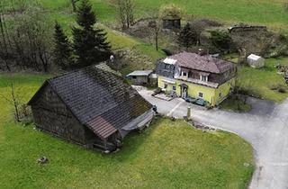 Haus kaufen in 3691 Nöchling, HandwerkerIn gesucht im kleinen Yspertal: liebenswertes Haus unweit von Nöchling