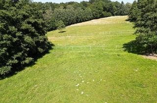 Lager kaufen in 3052 Innermanzing, Pferdehof in Traumlage - Für Landwirte!