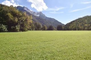 Grundstück zu kaufen in 6384 Waidring, Traumhaftes Baugrundstück in Sonniger Lage in Waidring