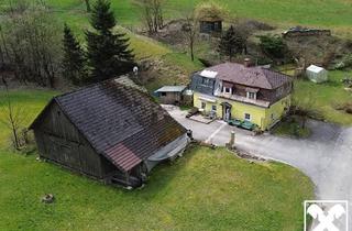 Einfamilienhaus kaufen in 3691 Nöchling, Handwerkerin Gesucht im Kleinen Yspertal: Liebenswertes Haus Unweit von Nöchling