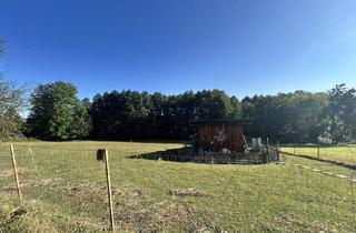 Gewerbeimmobilie kaufen in 4840 Kirchstetten, Großzügiges Wildgehege, Fischteich mit Wasserecht ca. 6476m² in Kirchstetten – gepflegt und vielseitig!