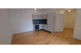 Wohnung mieten in Fliegergasse, 2700 Wiener Neustadt, Light & Lovely – 1‑Zimmer‑Wohnung mit Loggia