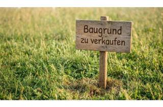 Grundstück zu kaufen in 3002 Purkersdorf, Sommeraktion - Toppreis & Provisionsfrei bis 30.09.2026 (!) Ebener Baugrund mit Altbestand - in Purkersdorfer Waldrandlage (!)