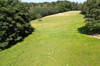Agrarfläche kaufen in 3052 Innermanzing, PFERDEHOF IN TRAUMLAGE - Für Landwirte!