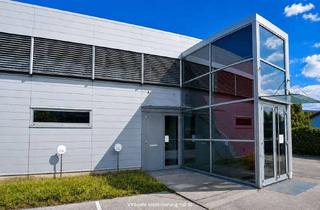 Gewerbeimmobilie kaufen in 2840 Edlitz, Betriebsgrundstück mit Lagerfläche in Edlitz