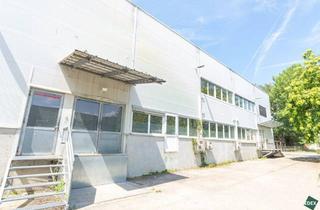 Büro zu mieten in Trauzlgasse, 1210 Wien, Großes Büro mit Hochregallager direkt bei der A22