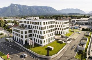 Büro zu mieten in Alte Bundesstraße 12, 5071 Himmelreich, Das "AlpAreal" Salzburg, Wals - großräumige Büro und Businessflächen