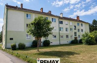 Wohnung kaufen in 2563 Pottenstein, "Was will man mehr?"