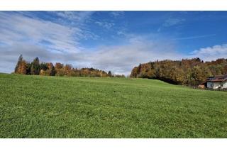 Grundstück zu kaufen in 5020 Salzburg, Sonniger Panoramagrund