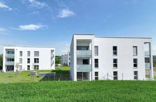 Wohnung kaufen in Keplerweg, 4710 Grieskirchen, geförderte 2-Raum-Wohnung in Grieskirchen Top 411