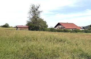 Grundstück zu kaufen in 8454 Arnfels, Baugrundstück in Arnfels