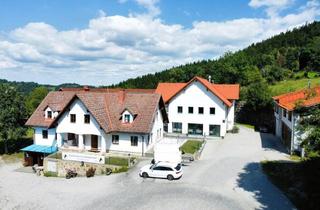 Immobilie kaufen in Perg, Linz, 4363 Pabneukirchen, Traumanwesen Für Pferdeliebhaber in Alleinlage mit Ca. 13 Ha - Wanderreiten im Pferdereich Mühlviertler Alm