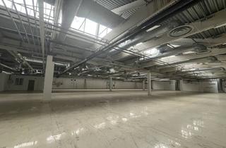 Lager mieten in 2100 Korneuburg, 2100, Industriestraße Lager-,Und Produktionsfläche im k01 zur Miete ab 850M²