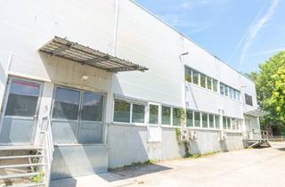 Lager mieten in Trauzlgasse, 1210 Wien, Großes Büro mit Hochregallager Direkt bei der a22