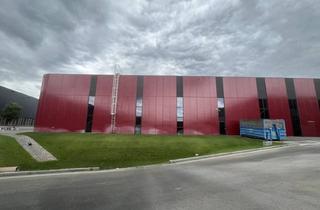 Lager mieten in 2100 Korneuburg, 2100, Industriestraße Gewerbepark k01-Korneuburg | Halle M Lager-,Produktions- und Büroflächen zur Miete