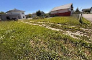 Grundstück zu kaufen in 4101 Feldkirchen an der Donau, Rarität im Zentrum: Baugrundstück ohne Bauzwang in ruhiger Siedlungsstraße