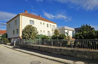 Haus kaufen in 2732 Würflach, Großzügig, zentral, vielseitig – Liegenschaft mit Wohnung, Geschäft und großem Grundstück in Würflach