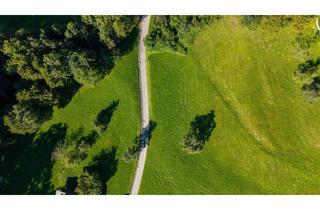 Grundstück zu kaufen in Buchebrunnen, 6835 Dafins, Traumhaftes Grundstück im Grünen in Zwischenwasser mit ca. 550m² Grundstücksfläche!