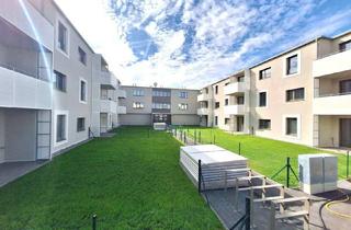 Genossenschaftswohnung in 2020 Hollabrunn, NEU ERBAUTE MIETWOHNUNGEN MIT KAUFOPTION AM STADTRAND
