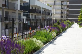 Wohnung mieten in Brauquartier Puntigam, 8055 Graz, Komfortable 2-Zimmerwohnung mit Garten im Brauquartier Puntigam