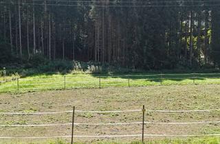 Grundstück zu kaufen in 4814 Altmünster, Baugrundstück in Neukirchen bei Altmünster