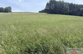 Grundstück zu kaufen in 7537 Neuberg im Burgenland, Landwirtschaftliche Flächen in der Nähe von Neuberg im Burgenland!