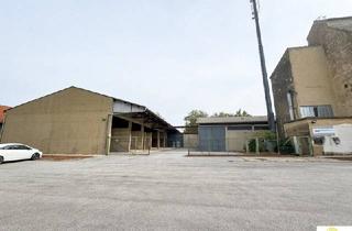 Gewerbeimmobilie kaufen in 7123 Mönchhof, Großer Gewerbegrund mit Lagerhallen, Silos und vielseitigem Potenzial in Mönchhof
