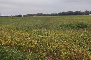 Grundstück zu kaufen in 2232 Deutsch-Wagram, TOP-AGRARINVESTMENT: ERSTE-KLASSE ACKERFLÄCHE IN TIEFER LAGE IM MARCHFELD