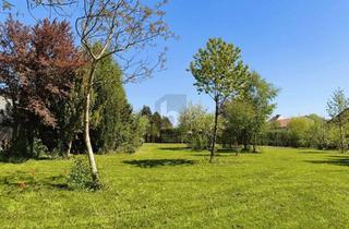 Grundstück zu kaufen in 3361 Aschbach-Markt, RARITÄT IN ASCHBACH 1.264 M² GESAMTFLÄCHE, VOLL AUFGESCHLOSSEN OHNE BAUZWANG!