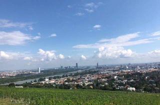 Grundstück zu kaufen in 1190 Wien, Rarität am Nußberg: 50% Miteigentumsanteil an Top-Ried „Mittlere Schoß“ (Gesamt 6.654 m²)