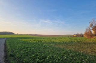 Grundstück zu kaufen in 2105 Unterrohrbach, PROJEKTENTWICKLER AUFGEPASST: BAUBEWILLIGUNG FÜR ZWEI DOPPELHÄUSER INKLUDIERT: BAUEN UND WOHNEN MIT AUS- UND FERNBLICK DIREKT AN FELDER ANGRENZEND IM NAHBEREICH VON WIEN UND KORNEUBURG