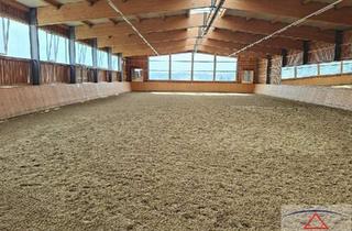 Haus kaufen in 8323 Krumegg, Top gepflegte Reitsportanlage in traumhafter Aussichtslage! Ihr persönliches Paradies für Mensch & Pferd!