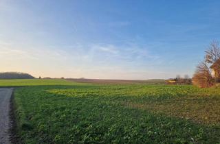 Grundstück zu kaufen in 2105 Oberrohrbach, PROJEKTENTWICKLER AUFGEPASST: BAUBEWILLIGUNG FÜR ZWEI DOPPELHÄUSER INKLUDIERT: BAUEN UND WOHNEN MIT AUS- UND FERNBLICK DIREKT AN FELDER ANGRENZEND IM NAHBEREICH VON WIEN UND KORNEUBURG