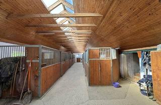 Gewerbeimmobilie kaufen in 8344 Bad Gleichenberg, Großzügiges Grundstück – ideal für Landwirtschaft, Pferdehaltung und Anleger Bad Gleichenberg – ruhige und idyllische Lage ca. 115.917 m²
