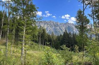 Gewerbeimmobilie kaufen in 8962 Gröbming, Natur- und Forstinvestment: Waldgrundstück am Fuße des Stoderzinkens