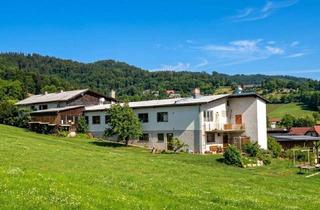 Haus kaufen in 8051 Thal, Wohnhaus samt "Handwerk mit Tradition!" oder vielseitig nutzbares Gewerbeobjekt
