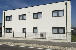 Büro zu mieten in 7111 Parndorf, Büro und Werkstatt im Industriezentrum nahe Outlet Center